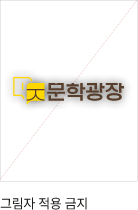 그림자 적용 금지
